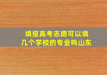 填报高考志愿可以填几个学校的专业吗山东