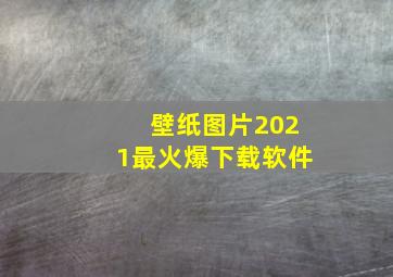 壁纸图片2021最火爆下载软件