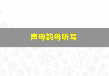 声母韵母听写