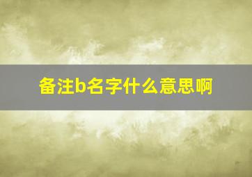 备注b名字什么意思啊