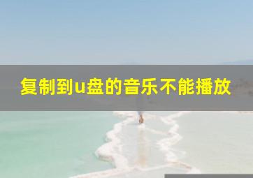 复制到u盘的音乐不能播放