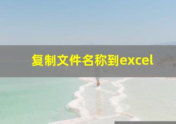 复制文件名称到excel