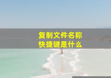 复制文件名称快捷键是什么