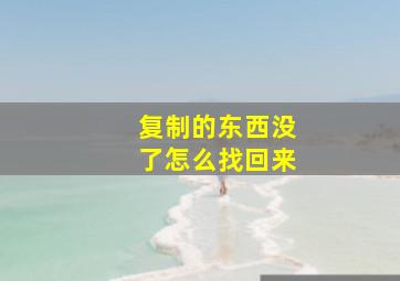 复制的东西没了怎么找回来