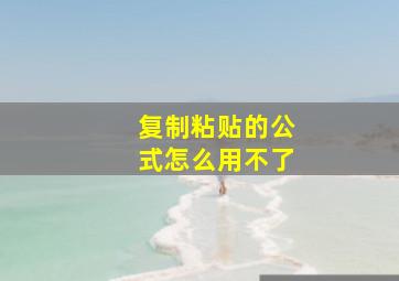 复制粘贴的公式怎么用不了