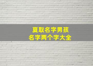 夏取名字男孩名字两个字大全