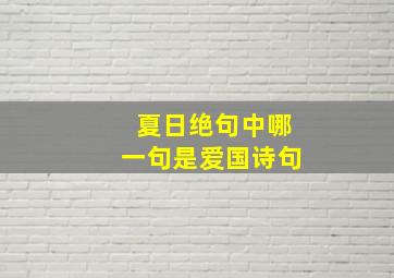 夏日绝句中哪一句是爱国诗句