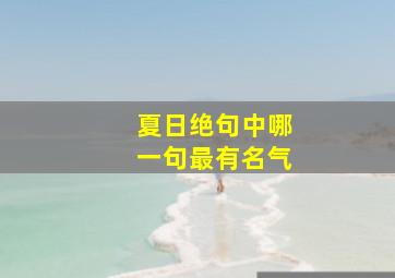 夏日绝句中哪一句最有名气