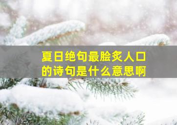 夏日绝句最脍炙人口的诗句是什么意思啊