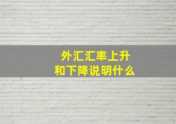 外汇汇率上升和下降说明什么