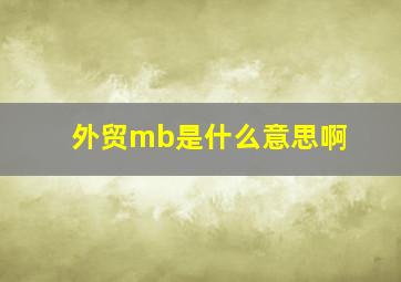 外贸mb是什么意思啊