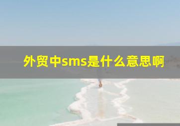 外贸中sms是什么意思啊