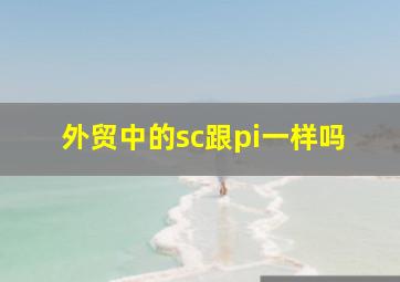 外贸中的sc跟pi一样吗