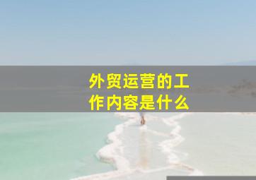 外贸运营的工作内容是什么