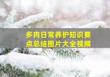 多肉日常养护知识要点总结图片大全视频