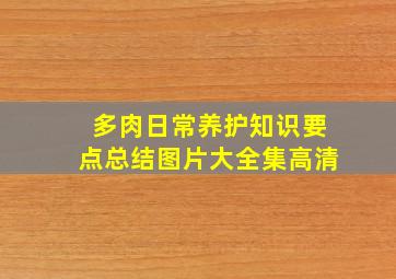 多肉日常养护知识要点总结图片大全集高清