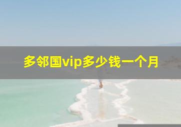 多邻国vip多少钱一个月