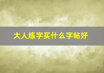 大人练字买什么字帖好