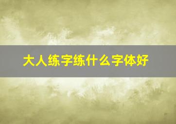 大人练字练什么字体好