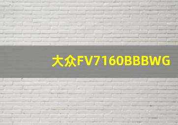 大众FV7160BBBWG