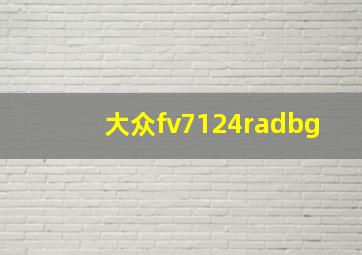 大众fv7124radbg