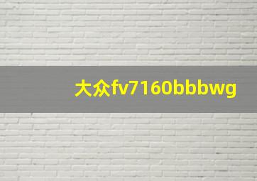 大众fv7160bbbwg