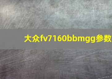 大众fv7160bbmgg参数