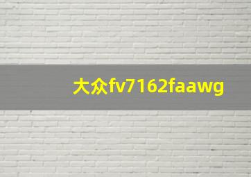 大众fv7162faawg