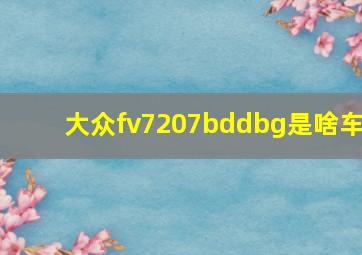 大众fv7207bddbg是啥车