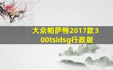 大众帕萨特2017款300tsidsg行政版