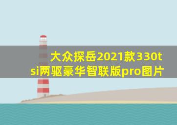 大众探岳2021款330tsi两驱豪华智联版pro图片