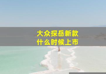 大众探岳新款什么时候上市