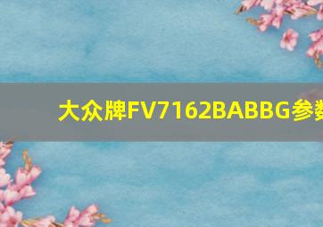 大众牌FV7162BABBG参数