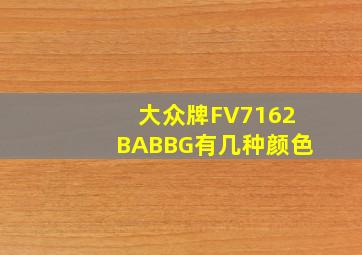 大众牌FV7162BABBG有几种颜色