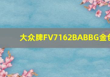 大众牌FV7162BABBG金色