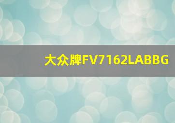 大众牌FV7162LABBG