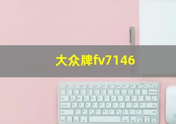 大众牌fv7146