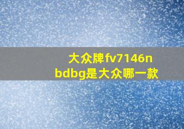 大众牌fv7146nbdbg是大众哪一款