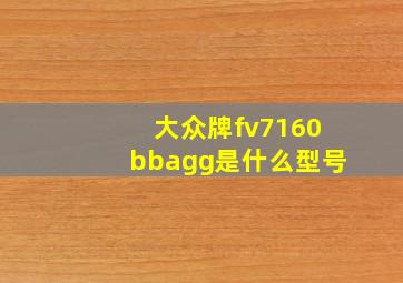 大众牌fv7160bbagg是什么型号