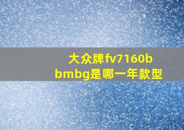 大众牌fv7160bbmbg是哪一年款型