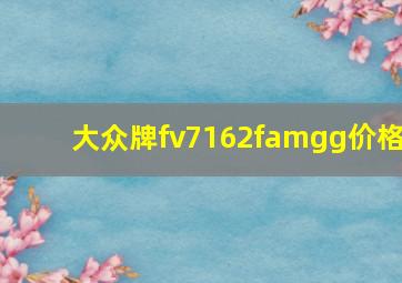 大众牌fv7162famgg价格