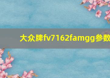 大众牌fv7162famgg参数