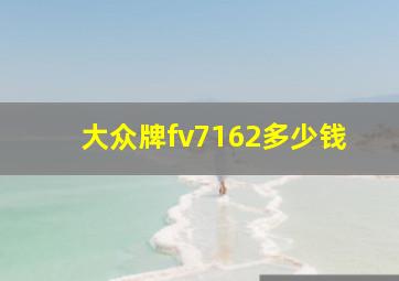 大众牌fv7162多少钱