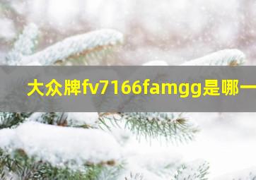 大众牌fv7166famgg是哪一款