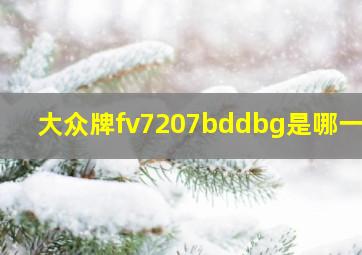 大众牌fv7207bddbg是哪一款