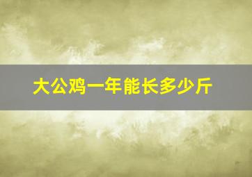 大公鸡一年能长多少斤