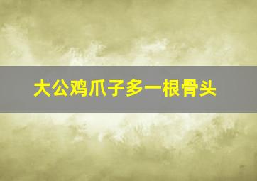 大公鸡爪子多一根骨头