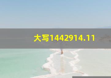 大写1442914.11