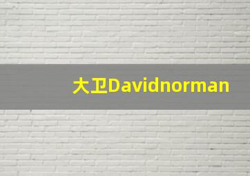 大卫Davidnorman