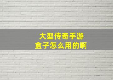 大型传奇手游盒子怎么用的啊